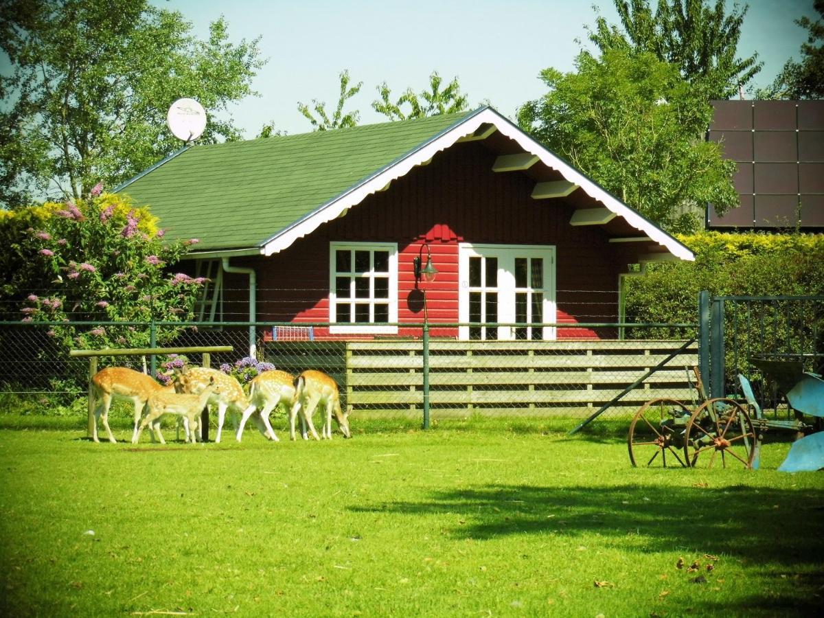 Vakantiehuisjes Landgoed Sonneborghe Kollumerzwaag المظهر الخارجي الصورة