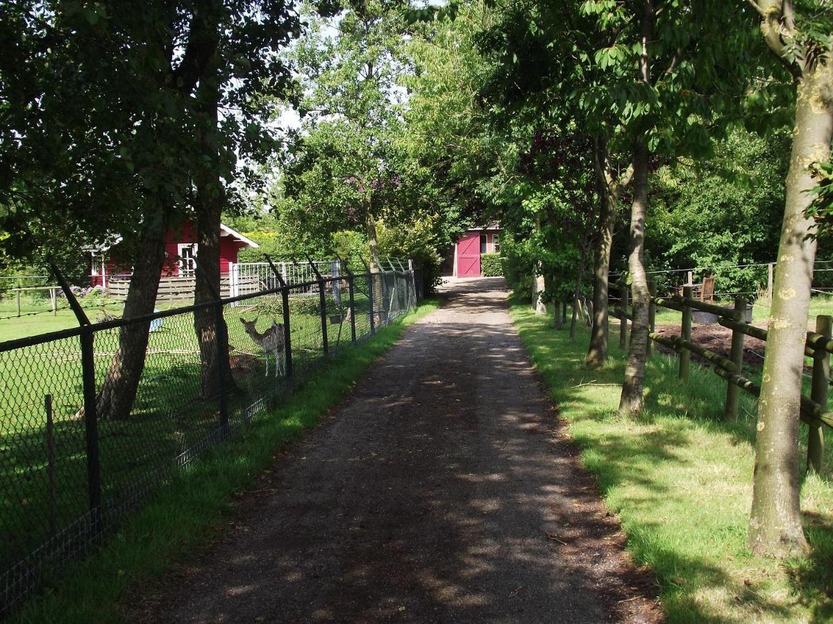 Vakantiehuisjes Landgoed Sonneborghe Kollumerzwaag المظهر الخارجي الصورة