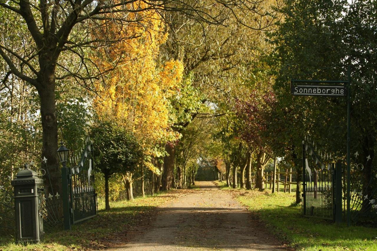 Vakantiehuisjes Landgoed Sonneborghe Kollumerzwaag المظهر الخارجي الصورة