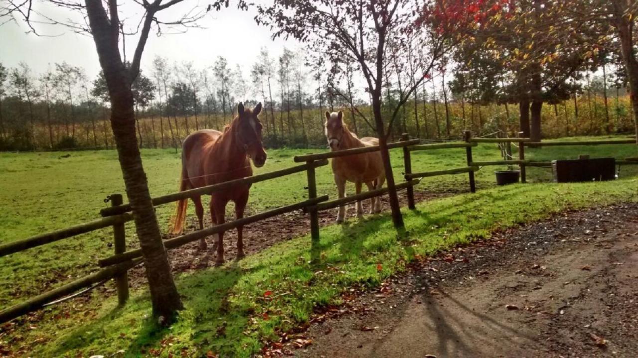 Vakantiehuisjes Landgoed Sonneborghe Kollumerzwaag المظهر الخارجي الصورة