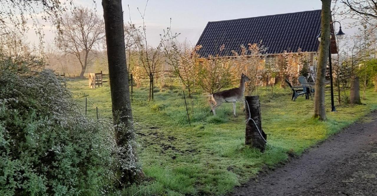 Vakantiehuisjes Landgoed Sonneborghe Kollumerzwaag المظهر الخارجي الصورة